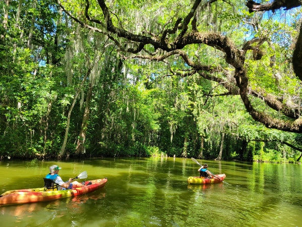 2 people in single kayaks.jpeg