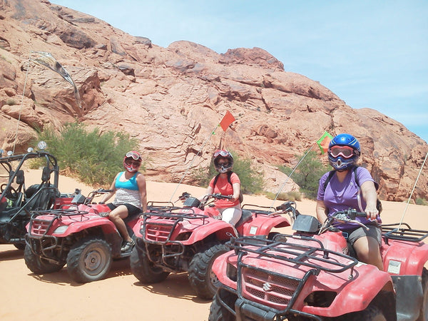 Dune Buggy in Valley