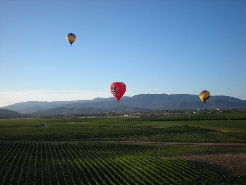 Temecula Sunrise Balloon Ride with Champagne Toast Temecula