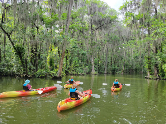 2 people in single kayaks.jpeg