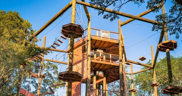 Aerial Challenge Course (Adventure Course) course.jpeg