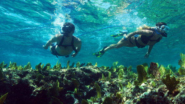 BLU3 Guided Tour couple snorkeling.png