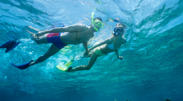 Beach Snorkeling Adventure.png