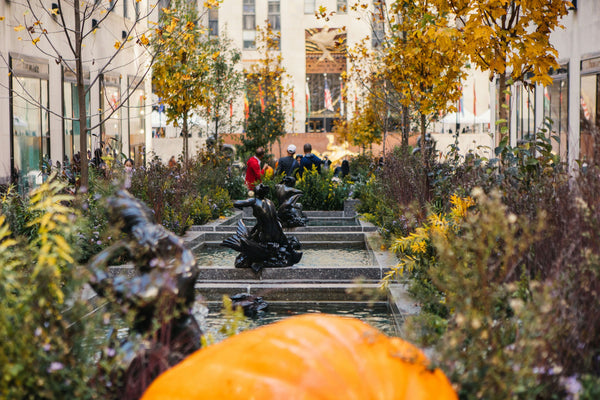 Channel Gardens.jpg