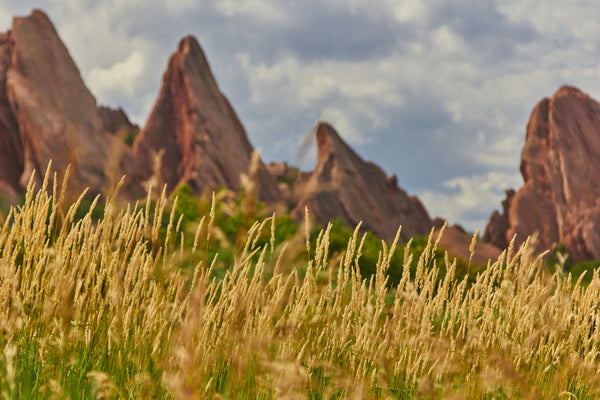 Pike's Peak and Garden of the Gods.jpeg