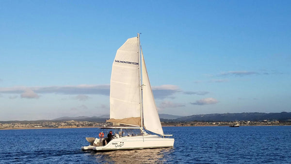 Daytime Catamaran Sailing Cruise on dock.jpeg