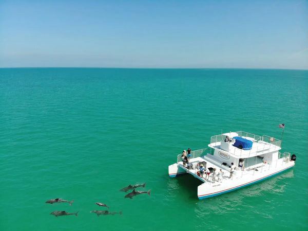 Dolphin, Snorkel & Sunset Combo boat pic.webp