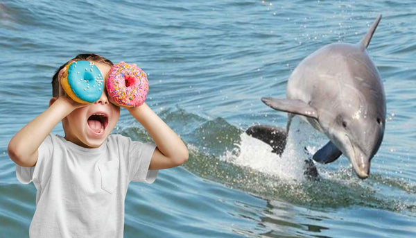 dolphin character with donut