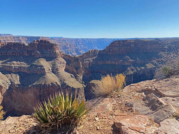 skywalk over canyon