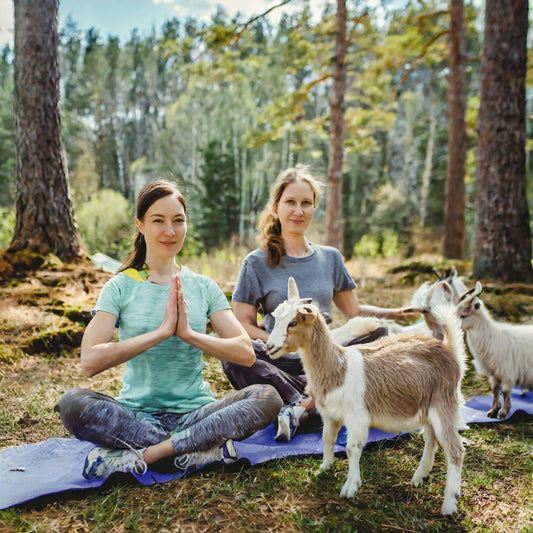 _Firefly adult women doing yoga with baby goats.jpg