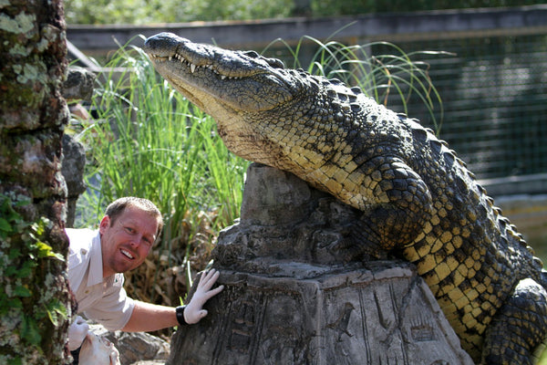 Gatorland_ORL AllInc.jpg