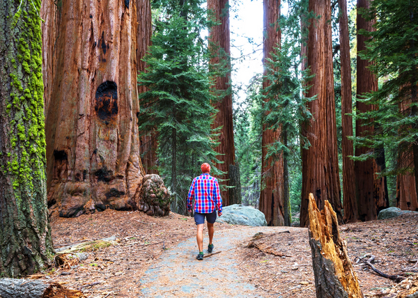 Photographer Yosemite Valley.jpg