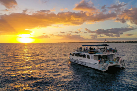 Historical Dinner Cruise sunset views.jpg