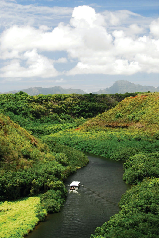 Kaua'i Waimea Canyon & Wailua River Tour (K1).jpeg