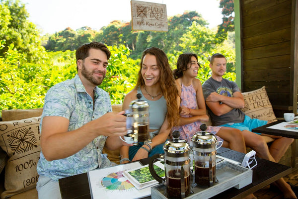 Kona Coffee Farm Tour - Private coffee shack.jpg