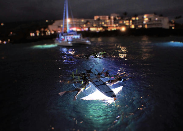 Late Night Manta Ray Snorkel - above manta ray.jpeg