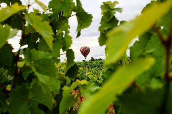 hot air balloon floating over zater