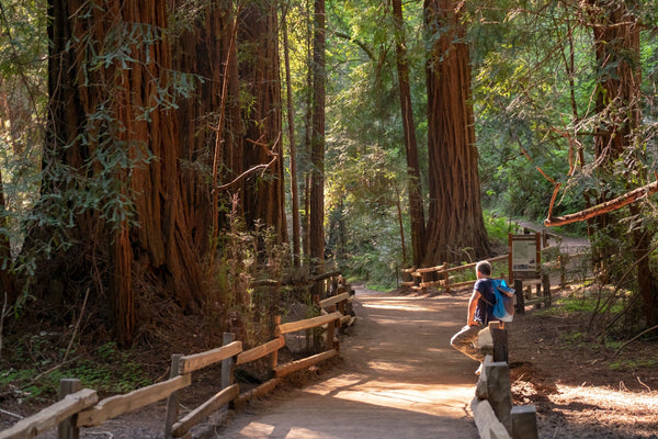 Entrance sign for muir woods