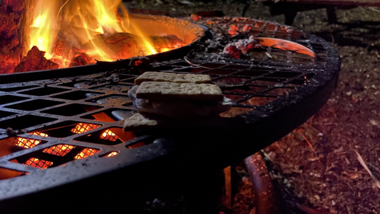 Night Zipline Adventure + Campfire S’Mores campfire.jpeg