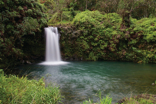 Oahu to Kahului- Road to Hana Adventure Tour (M2-1D).jpeg