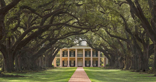 Oak Alley Plantation Tour.jpeg