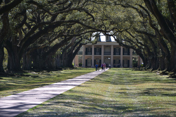 Oak Alley Plantation + Small Airboat Swamp Tour.png