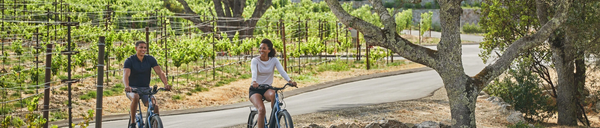 Pedal to Wine (E-Bikes).png