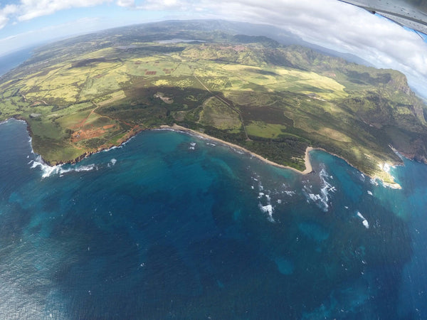 Private Kaua’i Airplane Tour - stunning views.jpeg