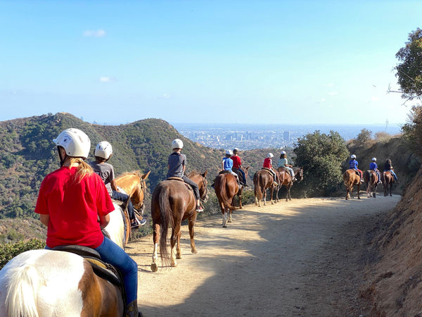 Riding in line