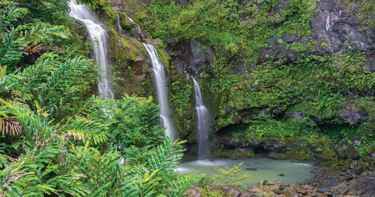 Road to Hana Adventure Tour with Lunch (M2).jpeg