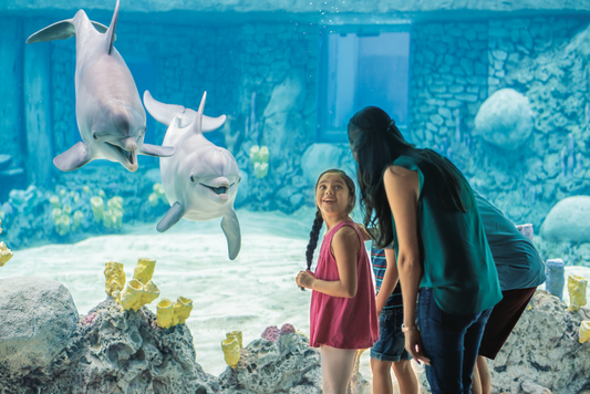 SAT Sea World Main photo.jpg