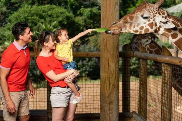 San Antonio Zoo.jpg