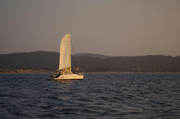 Sunset Catamaran Sailing Cruise group.jpeg