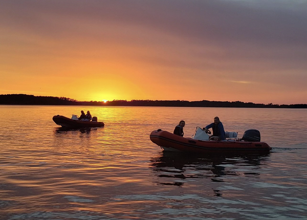 Sunset Mini Boat Dolphin Tour.png