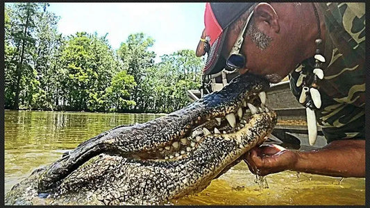 Swamp Tour kissing alligator.webp