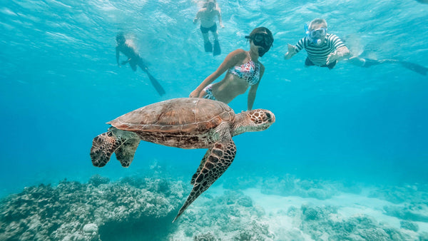 Swim with Turtles in Waikiki kids with turtles.jpeg