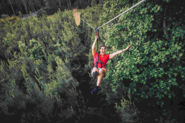 Zipping through forest