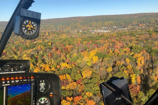 aerial view of fall leaves