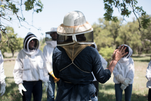 beekeeper teaching