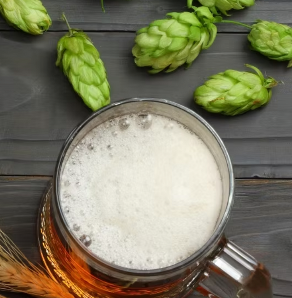 beer with hops