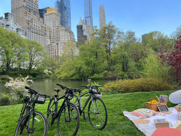 couple having a central park picnic