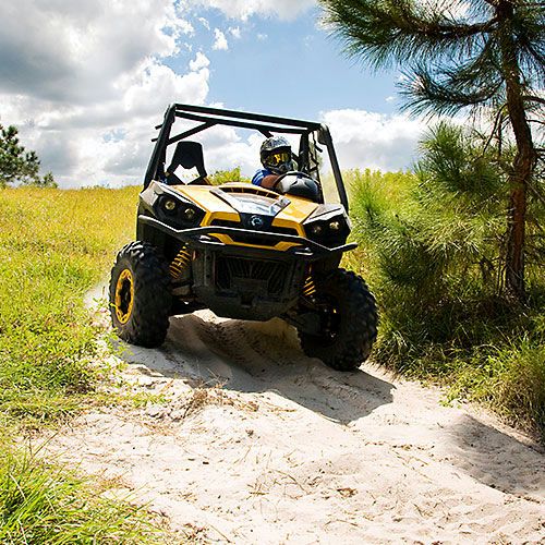 buggy adventure ride