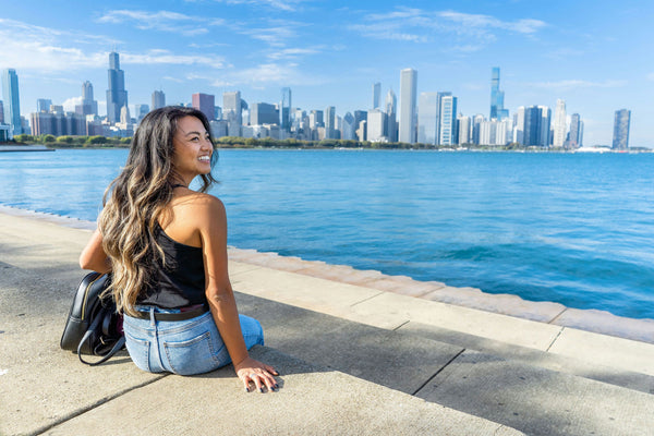 chicago skyline