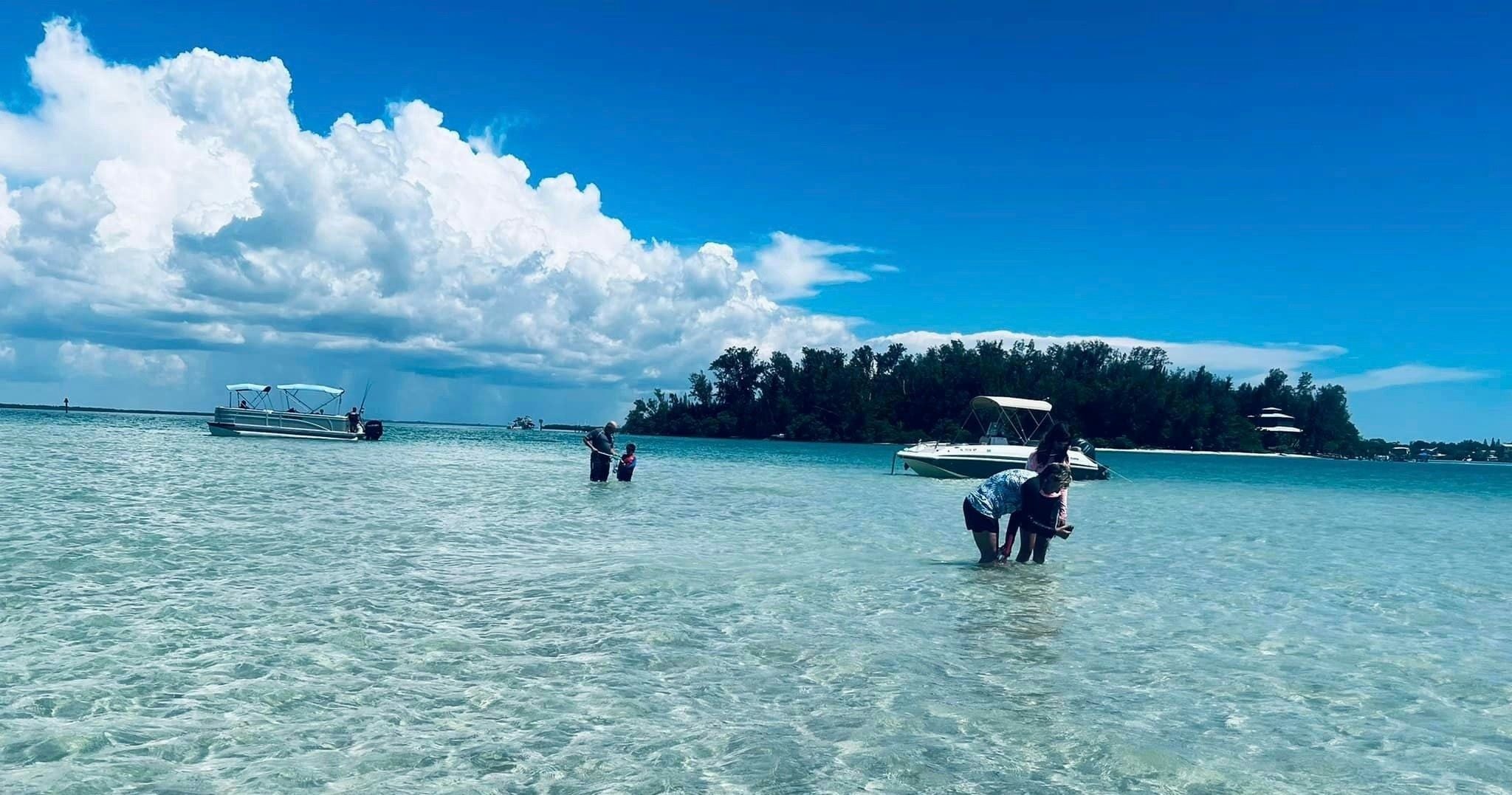 Three Hour Snorkel, Sandbar and Dolphin Tour | Bradenton Beach ...