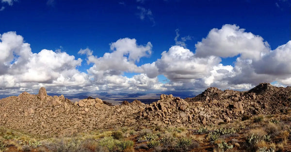 desert sky.webp