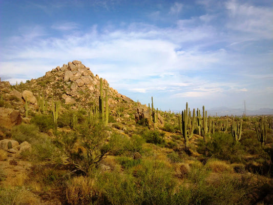 Incredible Hidden Valley Petroglyph Hiking Adventure in the Sonoran Desert.jpeg