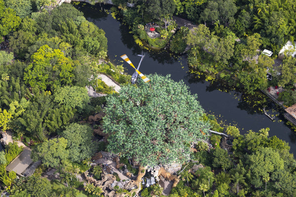 flying over water