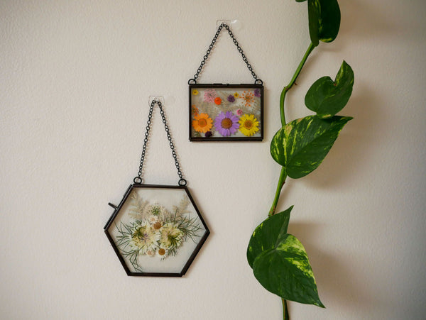 putting pressed flowers in frame