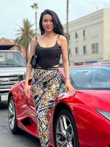 Leaning on lambo with hollywood sign in background