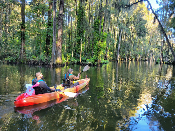 tandem kayak with pup.jpg